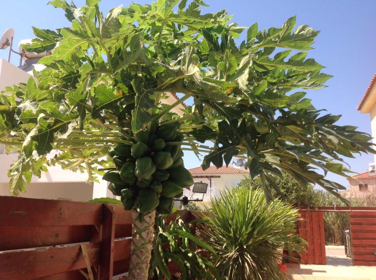 Carolyn Villa Is A Luxury 4-Bedroom Villa With Private Pool In Ayia Napa Bagian luar foto